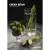 DarkSide Soft Green Beam (Фейхоа) 250 гр.
