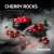 CHERRY ROCKS  DarkSide Core 30гр Табак для кальяна