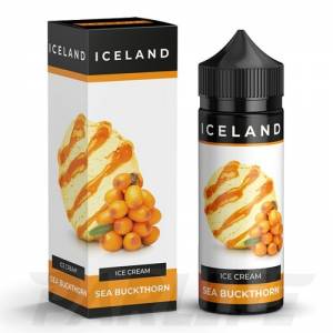 ICE CREAM BUCKTHORN Ice Land 120 мл Жидкость для электронных сигарет