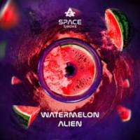 WATERMELON ALIEN Space Smoke 125 гр Курительная паста